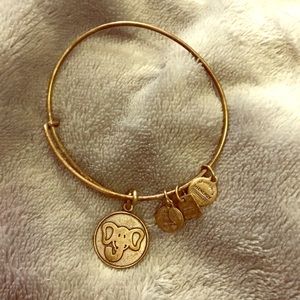 Alex and ani bracelet